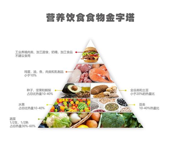 食物金字塔图片 食物金字塔图片简笔画